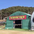 시안농장3 네이버블로그