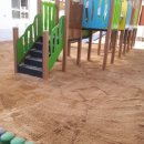 대창초등학교병설유치원 이미지