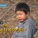 허니몽이 이미지