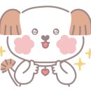 라라코지 이미지