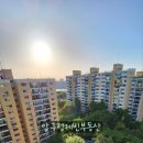 압구정-203 이미지