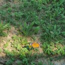 수성아트피아 | 2025 고모령가요제 예선 참가 후기 수성아트피아 주차