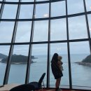 댕댕카 | 남해여행 쏠비치 남해 펫 프렌들리 디럭스 룸 후기