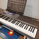 도레미음악학원 정기연주회 이미지