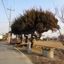 요도천 자전거길 이미지