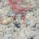 금오유치원 이미지