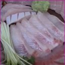 바다마차 네이버블로그