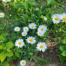 멘탈 리셋(자기탐구) 이미지