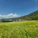 화개중학교 이미지