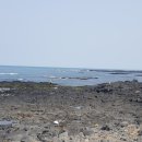 종달구경 이미지