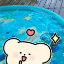아이들의요리놀이터 이미지