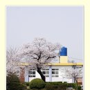 생림초등학교 이미지