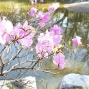 상원부동산중개 이미지