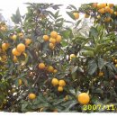 비학농장 이미지