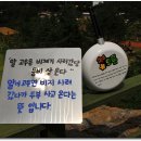 제주주방