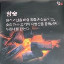 참정육