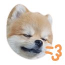 오즈펫살롱 이미지