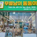 진영냥이 이미지