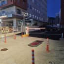 안락교차로 | 부산 동래 현지인 맛집 불끈낙지 안락점 안락동 밥집 추천