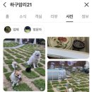 하구암리21 이미지