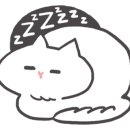 두리그루밍 이미지