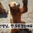 도돌코딩학원 이미지
