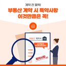 부강부동산공인중개사사무소 네이버블로그