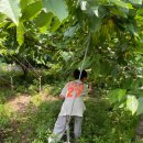 영학농장 이미지