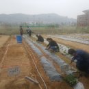 하수농장 이미지