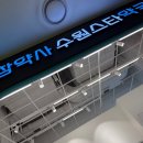 수원참약사약국 | 수원 스타필드 화서 동물약국 고양이 항생제 파는 곳 위치 및 가격 수원스타약국 참약사