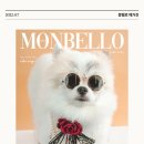 몽벨로 펫 케어센터 이미지