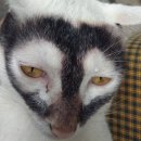 눈그린안경 이미지