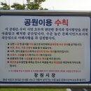 대방녹지공원 농구장 네이버블로그