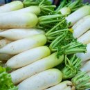 원에프짐 이미지