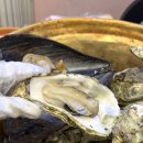 통영굴찜 | 서울 굴찜 맛집 크기부터 남다른 싱싱한 통영굴찜 꿀맛 후기