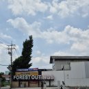 카페플랜트80 | 용인 기흥 고매동 대형카페 평일 방문 후기 오픈 1주년 기념 아메리카노 1+1 포레스트아웃팅스 용인점...