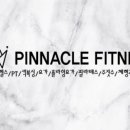 피너클 휘트니스 이미지