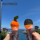 한경카써비스 | [제주도] 제주도 가서 뭐 하냐고요? 낚시랑 수영이요ㅎ 제주도 2박 3일 여행, 마지막 3탄