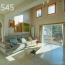 어뮤즈 545 이미지