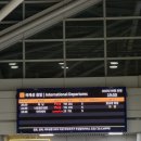 별안간 | 별안간 나트랑 혼여 후기🤭