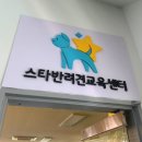 스타 반려견 교육센터 | [인천간판/서구간판] 처음 방문해도 한 눈에! 스타반려견교육센터 간판 &amp; 시트 시공 사례