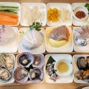 서서자는물고기 이미지