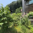 외천3리경로당 이미지