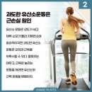 월드짐 이미지