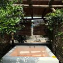 택하다, 스테이 이미지