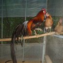 문영식 농장 이미지