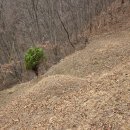 구산-주악산 묘지 이미지