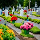 영락공원로 이미지