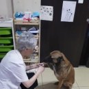 행복새약국 이미지