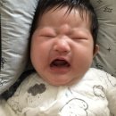 최재활의학과의원 이미지